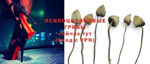 прущие грибы Лиски