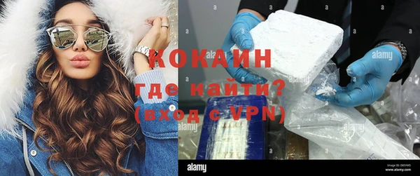 прущие грибы Лиски