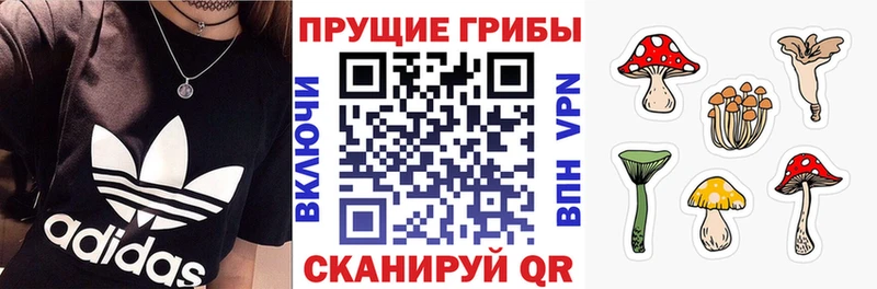 Купить где  Красноуфимск  Галлюциногенные грибы прущие грибы 
